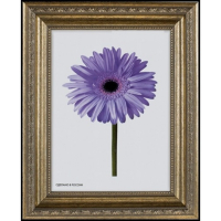 Рама для картин (зеркал) 40 х 50 х 3,3 см, пластиковая, Dorothy, серебряная Рама для картин (зеркал) 40 х 50 х 3,3 см, пластиковая, Dorothy, серебряная