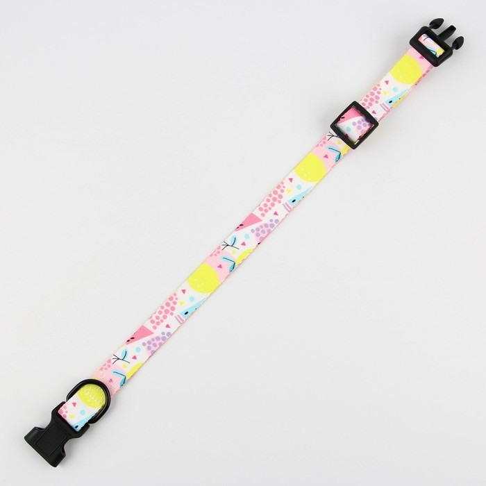 Ошейник «Сочное настроение», застёжка - фастекс, 2.5 см, 40-55 см Ошейник «Сочное настроение», застёжка - фастекс, 2.5 см, 40-55 см