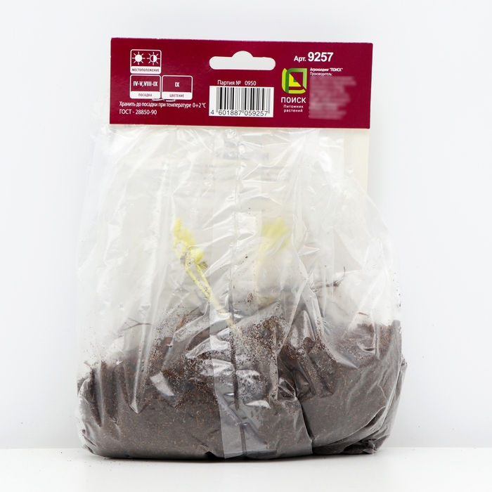 Клопогон простой Вайт Пёрл, р-р I, 1 шт, Весна 2025 Клопогон простой Вайт Пёрл, р-р I, 1 шт, Весна 2025