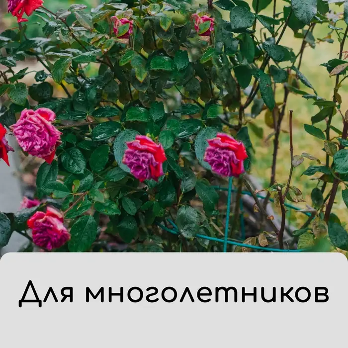 Чехол для растений, на завязках, 60 &times; 56 см, спанбонд с УФ-стабилизатором, плотность 60 г/м&sup2;, МИКС