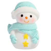 Набор для опытов &laquo;Снежный ночник: Снеговик&raquo;, своими руками