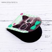 Закладки магнитные для книг, 6 шт «Котики» Закладки магнитные для книг, 6 шт «Котики»