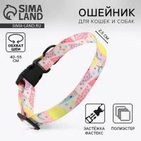Ошейник &laquo;Сочное настроение&raquo;, застёжка - фастекс, 2.5 см, 40-55 см