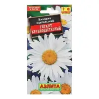 Семена цветов Нивяник "Гигант", крупноцветковый, Ц/П, 0,5 г