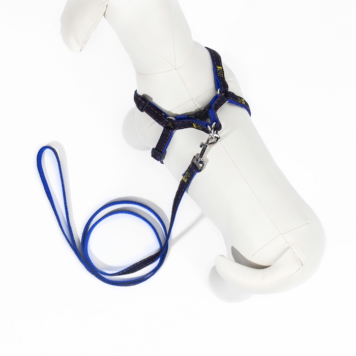 Комплект "Джинс", ширина 1 см, поводок 120 см, шлейка 25-40 см, синий