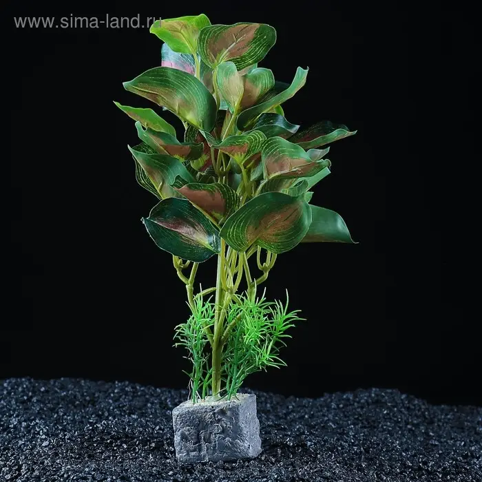 Растение аквариумное "в горшочке", 31 х 23 х 19 см