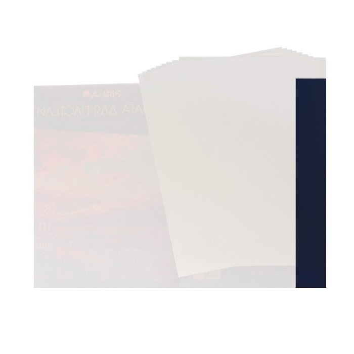 Бумага для пастели А4, 10 листов Бумага для пастели А4, 10 листов "Щенки", блок 160 г/м2, в папке