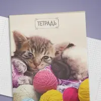 Тетрадь 48 листов в клетку Calligrata &laquo;Милые котята&raquo;, обложка мелованный картон, блок №2, белизна 75% (серые листы), МИКС