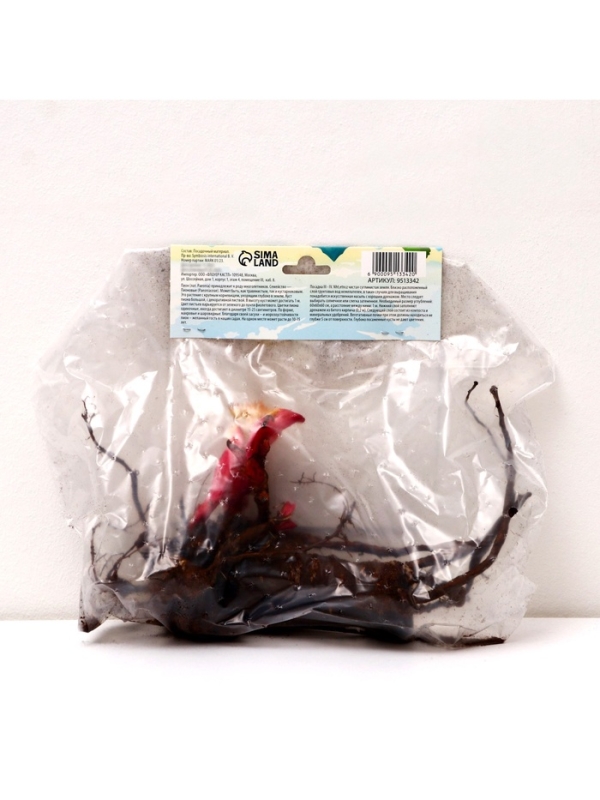 Пион Cytherea, корневище в пакете с торфогрунтом, р-р 2/3, 1 шт.