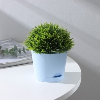 Горшок для цветов с прикорневым поливом &laquo;Альянс&raquo;, 0,4 л, d=10 см, h=8,5 см, голубой