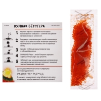 Набор для опытов «Вулкан Беттгера», Сказочный патруль Набор для опытов «Вулкан Беттгера», Сказочный патруль