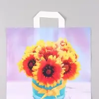 Пакет "Марлен", полиэтиленовый с петлевой ручкой, 38 х 34 + 3 см, 70 мкм