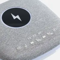 Bluetooth-колонка с беспроводной зарядкой и подсветкой Terrafonic, серая