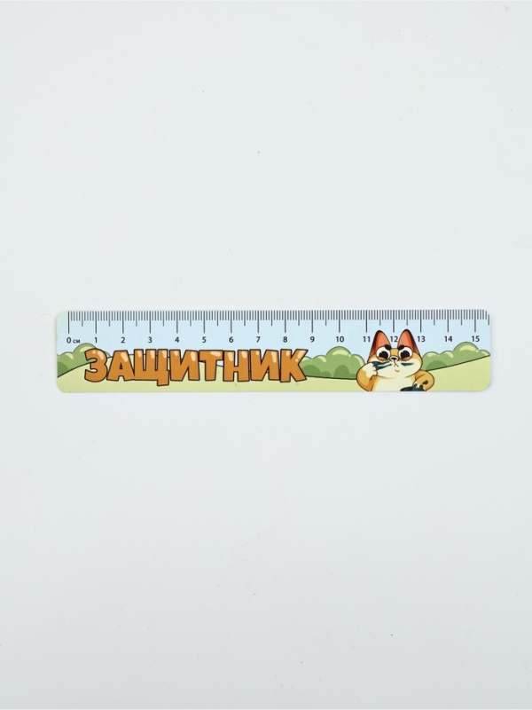 Подарочный набор 6 предметов "С 23 февраля! Кот"