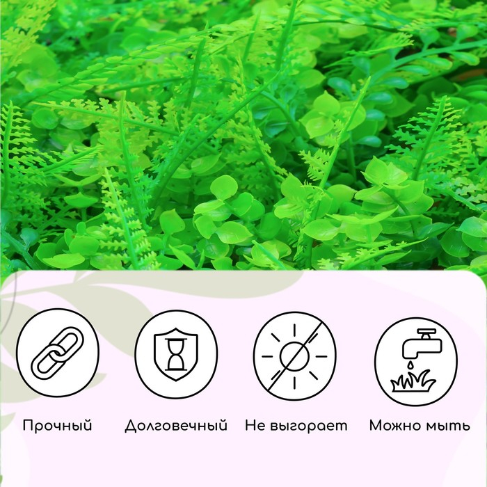 Декоративная панель, 60 &times; 40 см, &laquo;Самшит, Папоротник&raquo;, Greengo