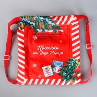 Сумка детская новогодняя &laquo;Посылка от Деда Мороза&raquo;, 35 х 30 см., на новый год