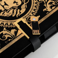 Ежедневник со встроенным зарядным устройством 8000 мАh и флешкой 16 ГБ &laquo;Лев&raquo;, 17,5 х 23,5 см