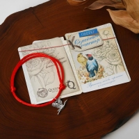 Браслет-оберег &laquo;Красная нить&raquo; семейное счастье, цвет серебро, L=20 см