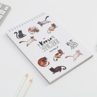 Скетчбук &laquo;Кот&raquo; А5, 40 л, 100 г/м