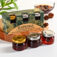 Набор варенья с сосновыми шишками &laquo;Графика&raquo;: с брусникой, классическое, с грушей, 90 г (3 шт. х 30 г).