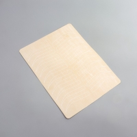 Искусственная кожа для тату и татуажа бровей, 19 &times; 14,5 см, цвет бежевый