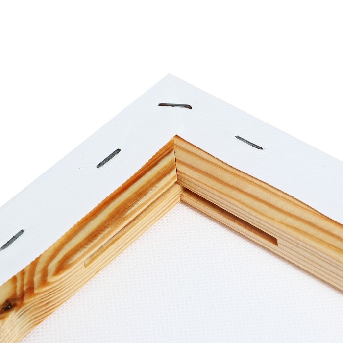 Холст на подрамнике 1,6х70х100 см, хлопок 100%, акриловый грунт, среднезернистый, 380г/м&sup2;