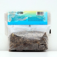 Лилия Азиатская "Перл Мелани", р-р 12/14, 3 шт,