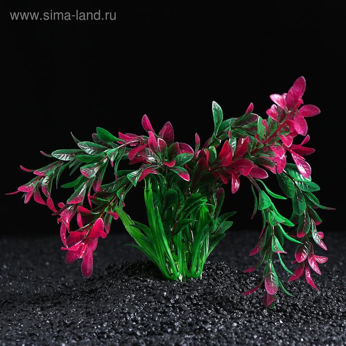 Растение искусственное Растение искусственное