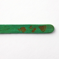 Палочки для мороженого деревянные &laquo;Фрукты&raquo;, набор 50 шт, 11.4 х 1 см