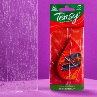 Ароматизатор подвесной Tensy картонный, Арбуз TA-05 МИКС Ароматизатор подвесной Tensy картонный, Арбуз TA-05 МИКС