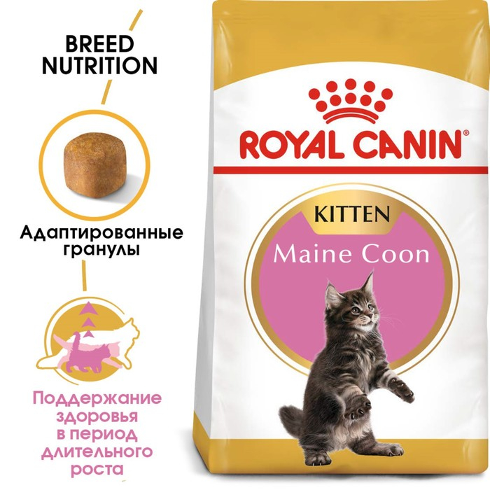 Сухой корм RC Kitten Maine Coon для котят крупных пород, 10 кг