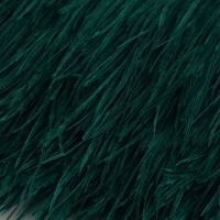 Тесьма с перьями страуса, 8-10 см, 5 ± 0,5 м, цвет изумрудный Тесьма с перьями страуса, 8-10 см, 5 ± 0,5 м, цвет изумрудный