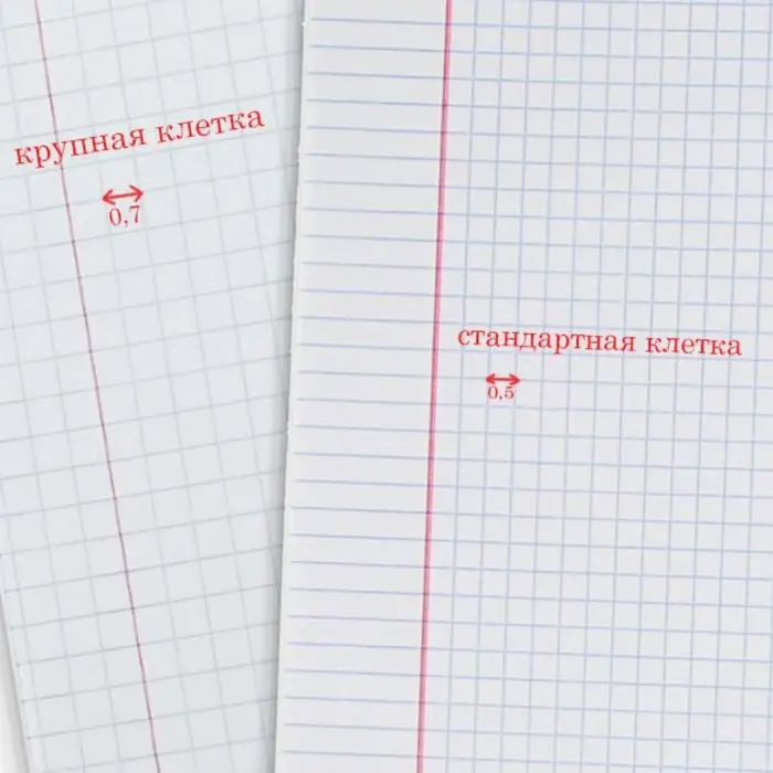 Тетрадь 12 листов в крупную клетку &laquo;Великолепная пятёрка&raquo;, бумажная обложка, МИКС