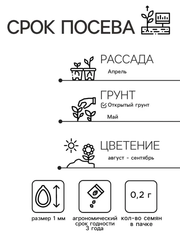 Семена цветов Цинния "Мечта", 0,2 г