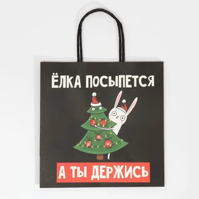 Пакет подарочный новогодний &laquo;А ты держись&raquo;, 22 х 22 х 11 см