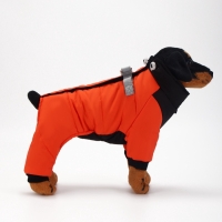 Комбинезон "Тренд", оксфорд, 2XL (ДС 43, ОШ 41, ОГ 53 см, вес 16-20 кг), оранжевый