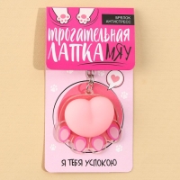 Брелок мялка для ключей «Лапка» 4.6 х 7 см Брелок мялка для ключей «Лапка» 4.6 х 7 см