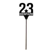 Топпер для торта &laquo;23 февраля&raquo;, МИКС, ассорти