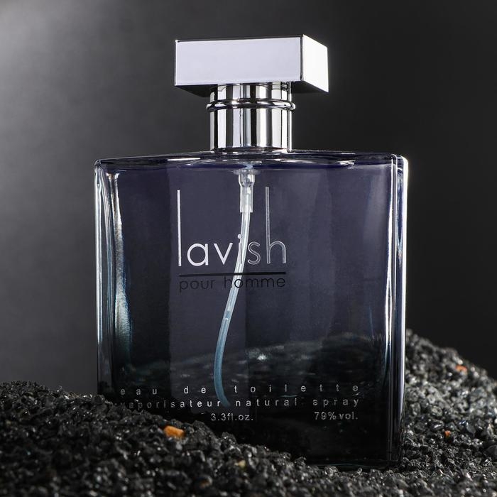 Туалетная вода мужская Lavish pour homme, 100 мл