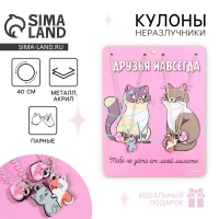 Кулоны парные подвески &laquo;Друзья навсегда&raquo;