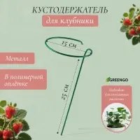 Кустодержатель для клубники, d=15 см, h=25 см, ножка d=0.3 см, металл, зелёный, Greengo