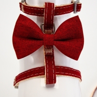 Комплект амуниции "Шахматный джентельмен", поводок 120 х 1 см, красный