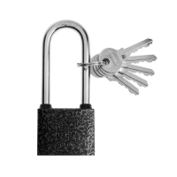 Замок навесной "АЛЛЮР" ВС1Ч-350Д, длинная дужка d=8 мм, 5 ключей