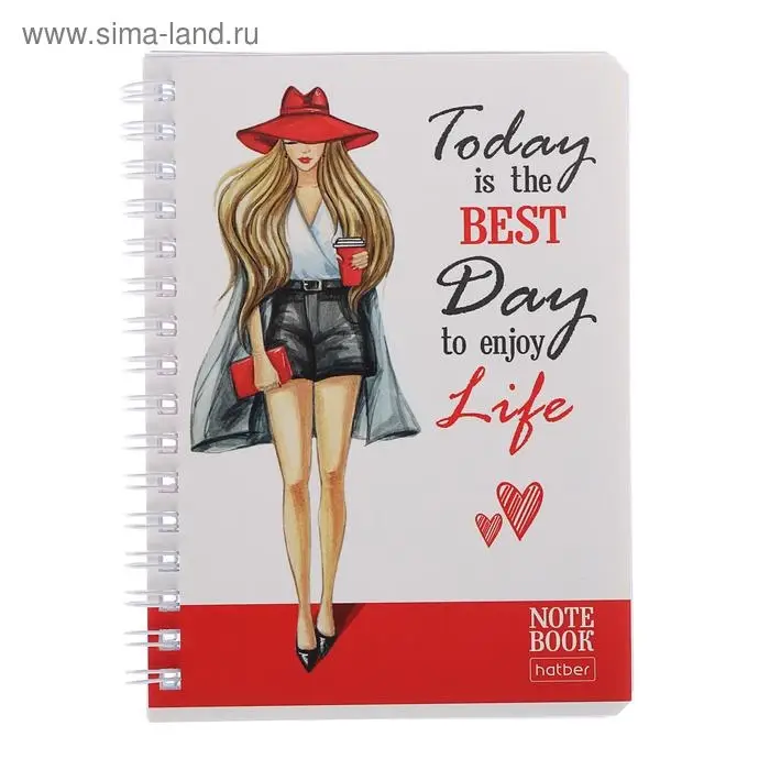 Записная книжка А6, 80 листов в клетку, на гребне "Жизнь прекрасна!", картонная обложка, блок офсет, МИКС