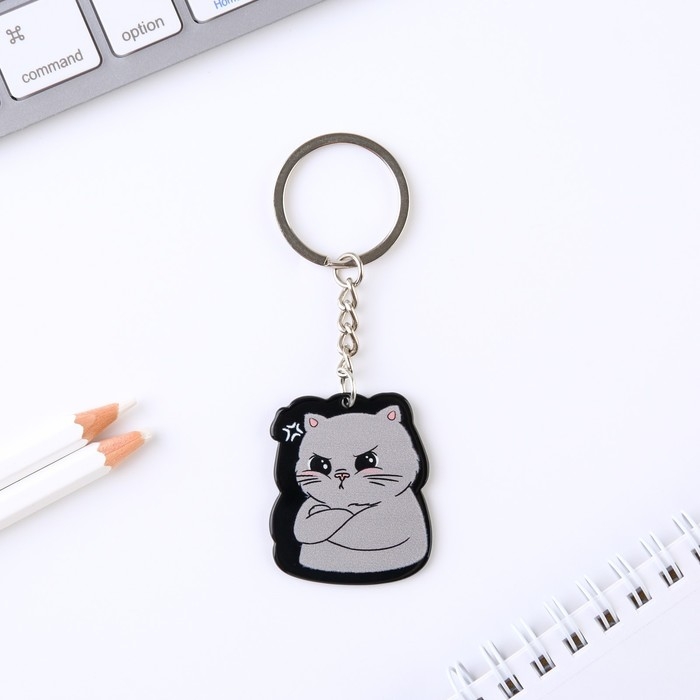 Брелок для ключей акриловый &laquo;Я вредный&raquo;, 7 х 12,5 см