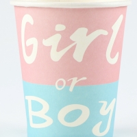 Набор одноразовой посуды &laquo;Гендер Пати&raquo;, 15 предметов