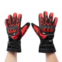 Перчатки мотоциклетные, зимние, размер L, красный Перчатки мотоциклетные, зимние, размер L, красный