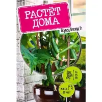 Семена "Растёт дома!" Огурец Взгляд, F1  5 шт.