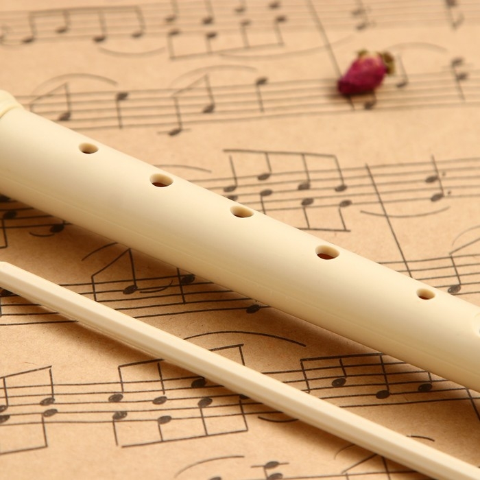 Блокфлейта Music Life, 8 отверстий, немецкая система, сопрано