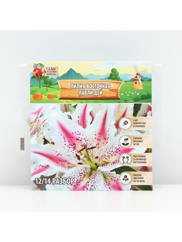 Лилия Восточная Lovely Day, луковица в пакете с перфорацией, р-р 12/14, 2 шт.